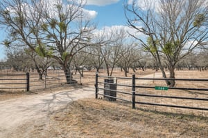 Quail Run-S0402-055.jpg