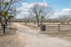 Quail Run-S0402-056.jpg