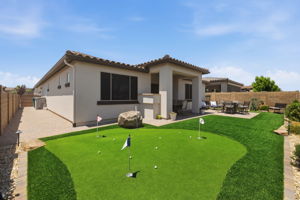 Backyard 3