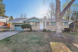 Ingalls Ct-S0404-001