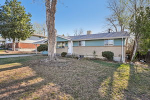 Ingalls Ct-S0404-003