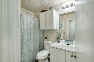 Hall Bathroom