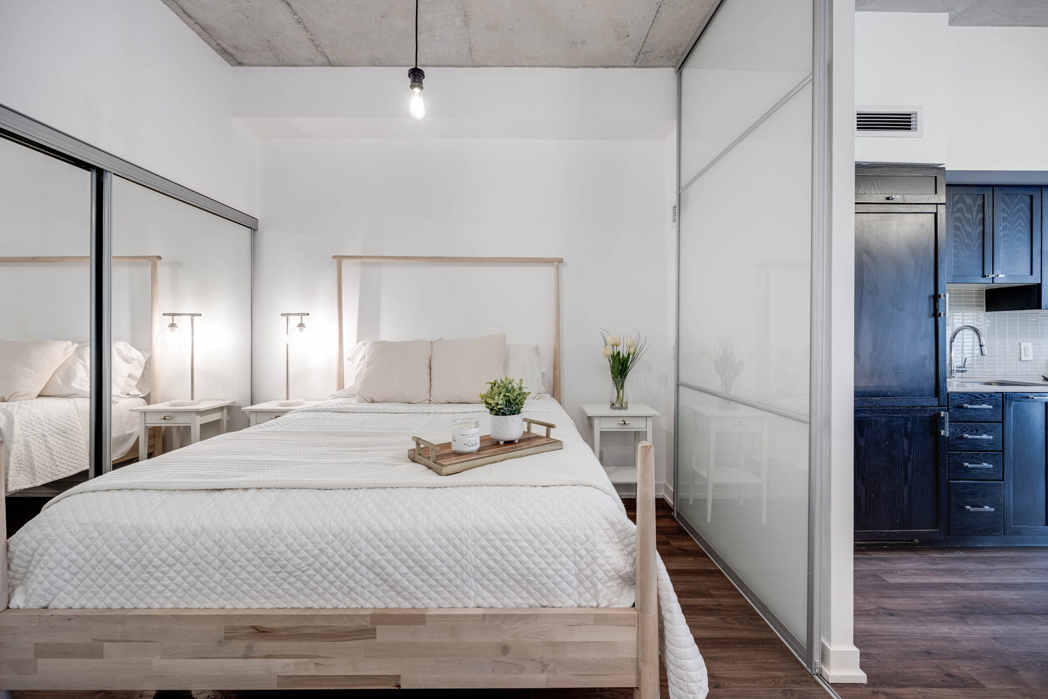 Toronto property showcase — delivered property photograph 10