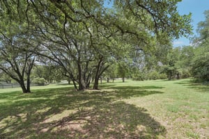 Harbor Dr-S1007-069.jpg