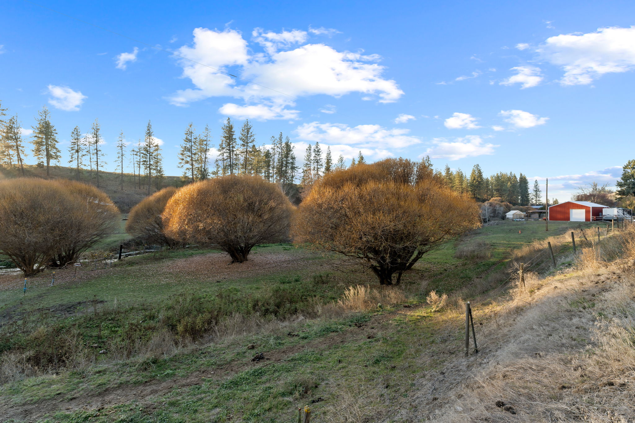  Photo 50