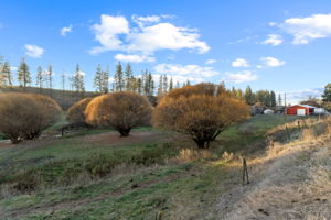  Photo 49