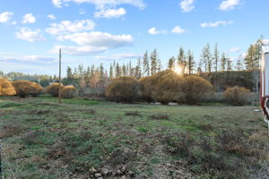  Photo 53