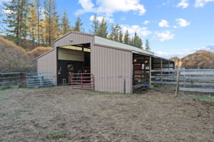  Photo 43