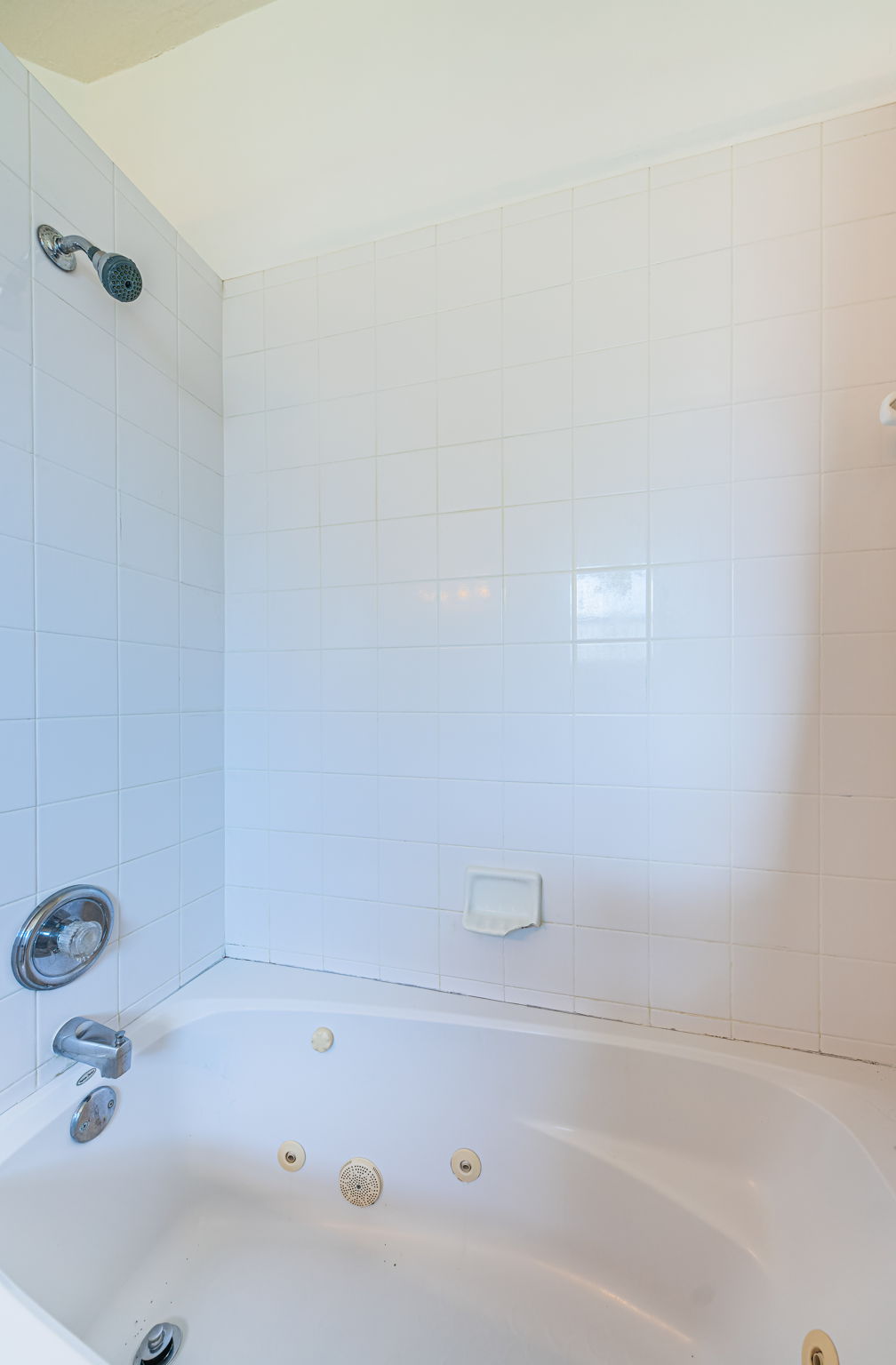 Primary Bathroom 1b