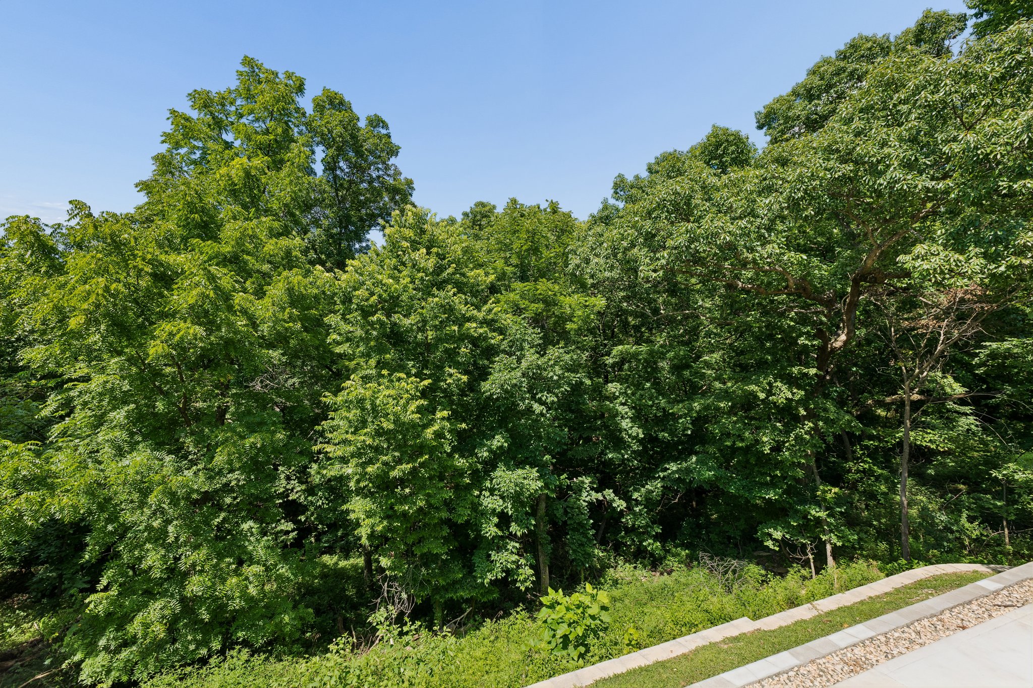 9411 - 708 Lake Forest Dr_039.jpg