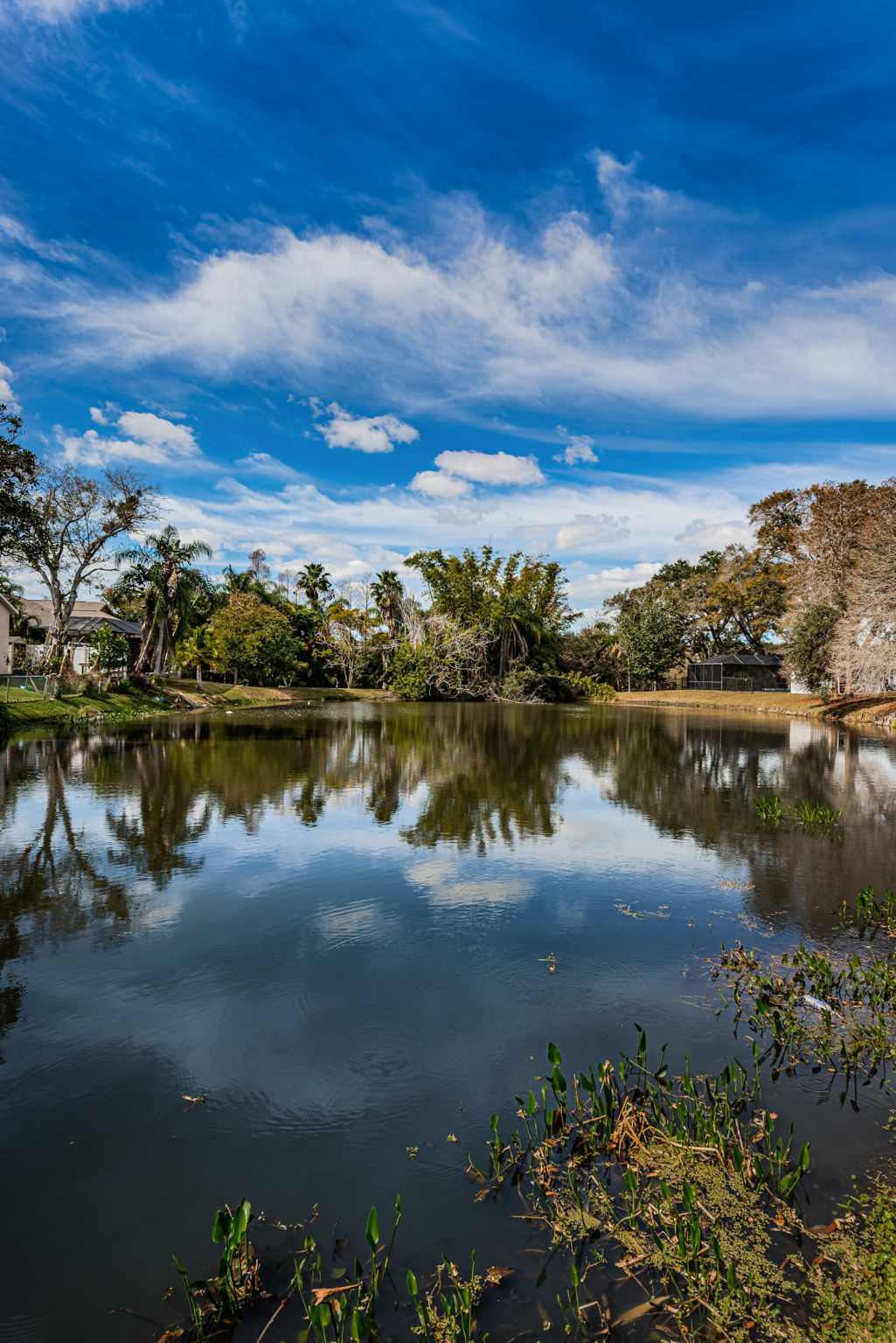Pond2