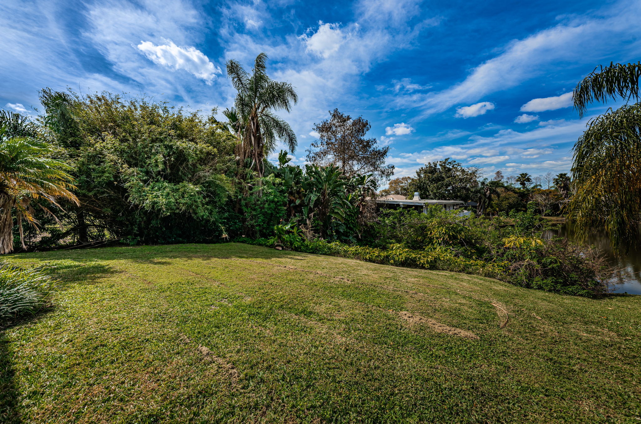 Backyard1