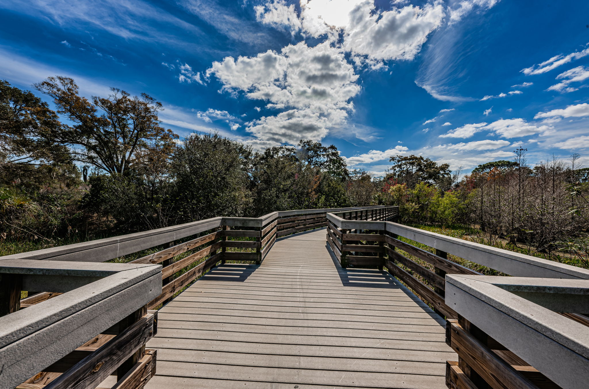 Kapok Park16