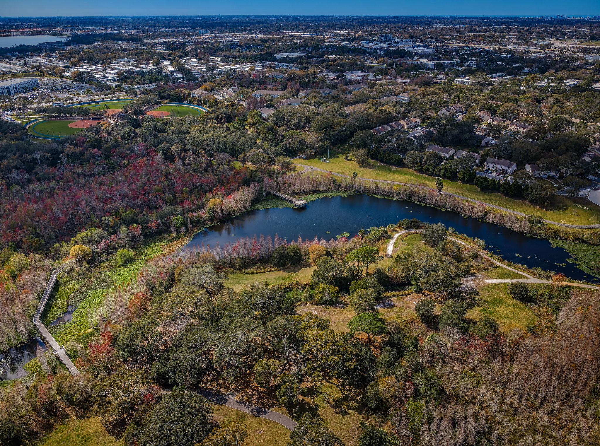 Kapok Park21