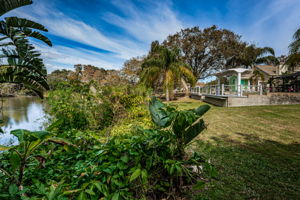 Backyard4