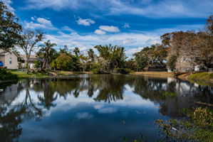 Pond1
