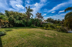 Backyard1