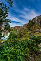 Backyard3