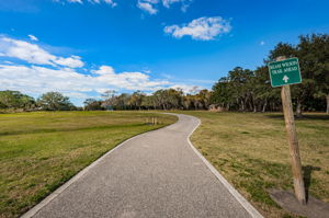 Kapok Park9