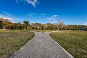 Kapok Park19