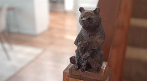  Photo 41