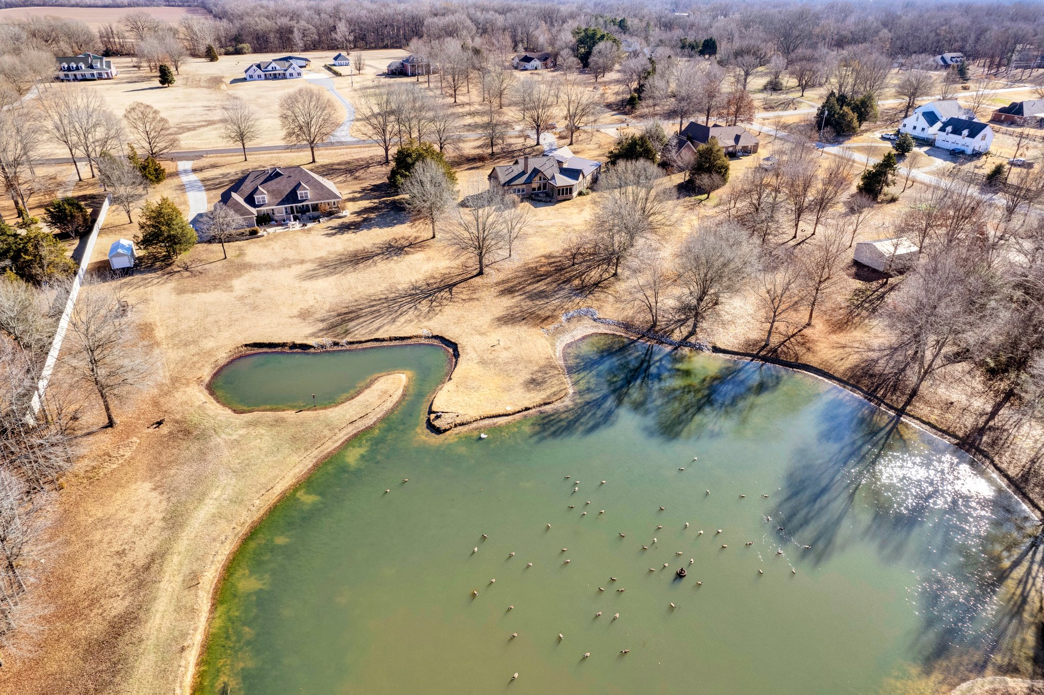 Shared pond