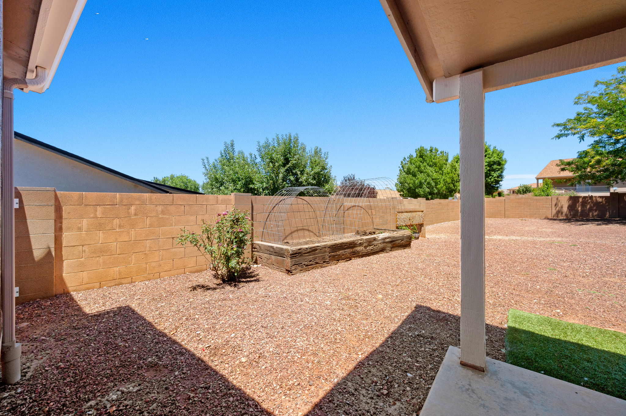 Backyard