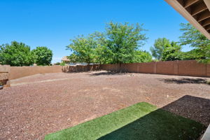 Backyard (2)