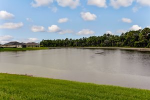 Bartram Park Preserve