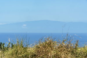 Maui Views