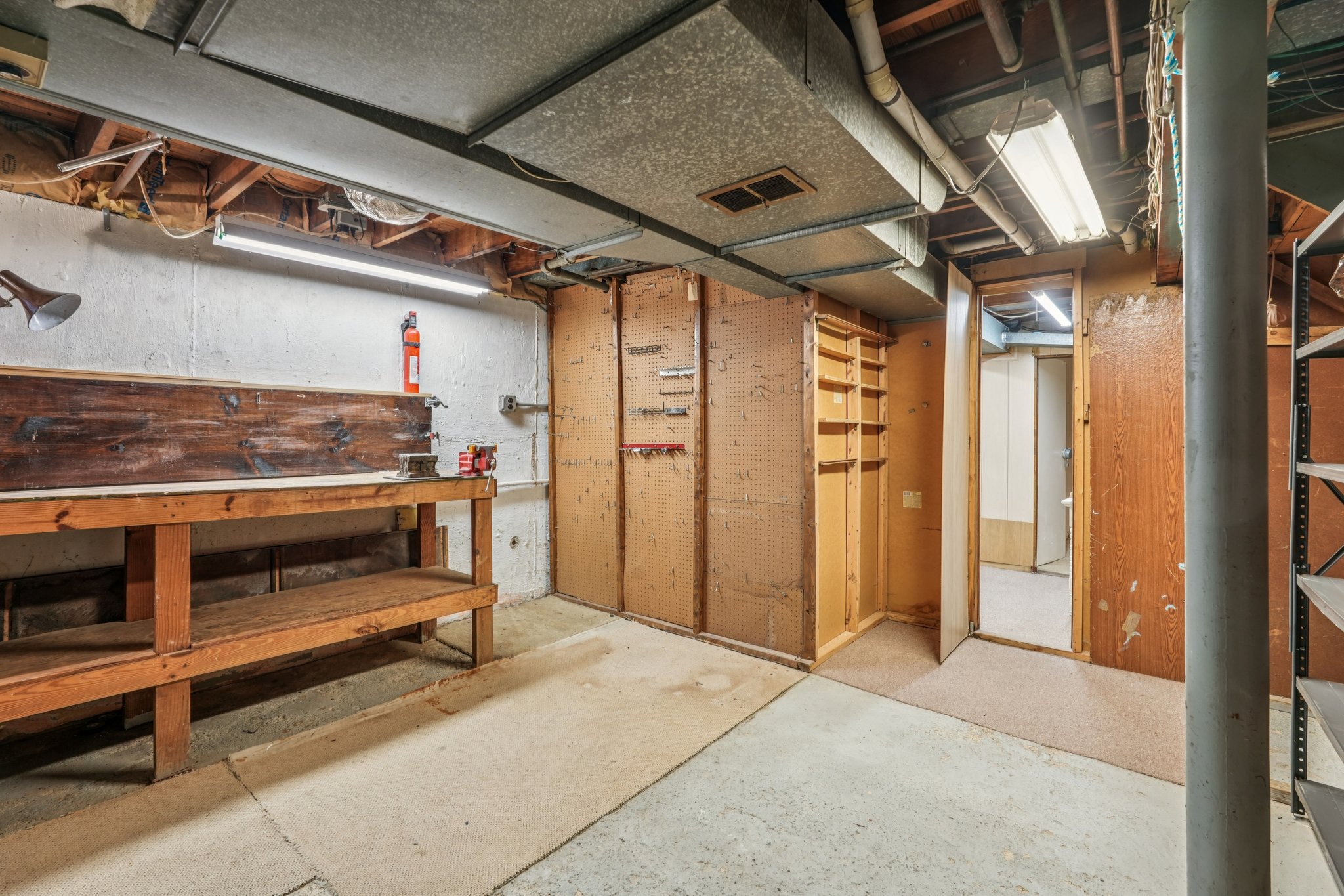 Dora Ln-S2810-047.jpg