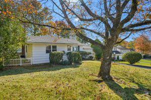 Dora Ln-S2810-006.jpg