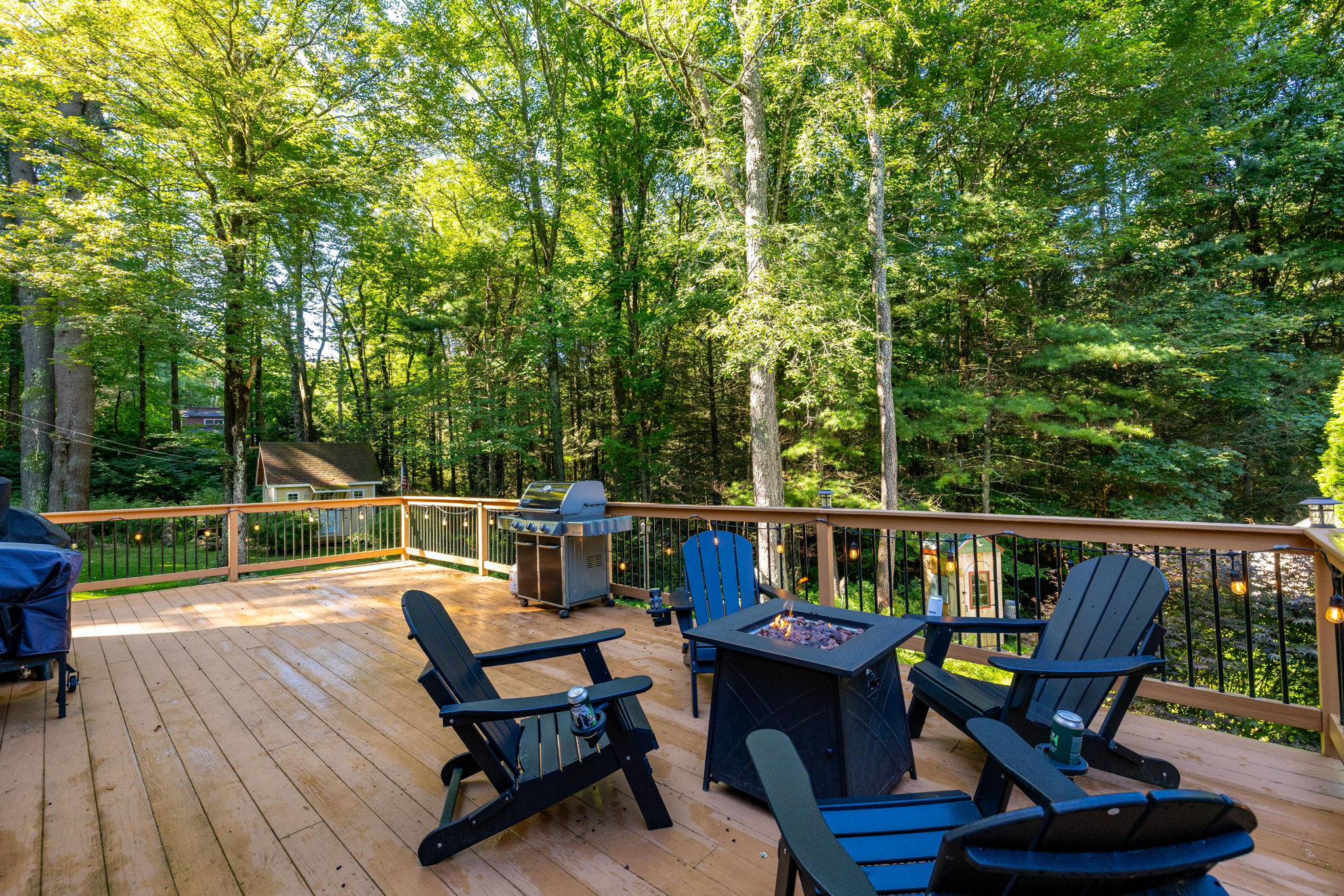  Photo 25