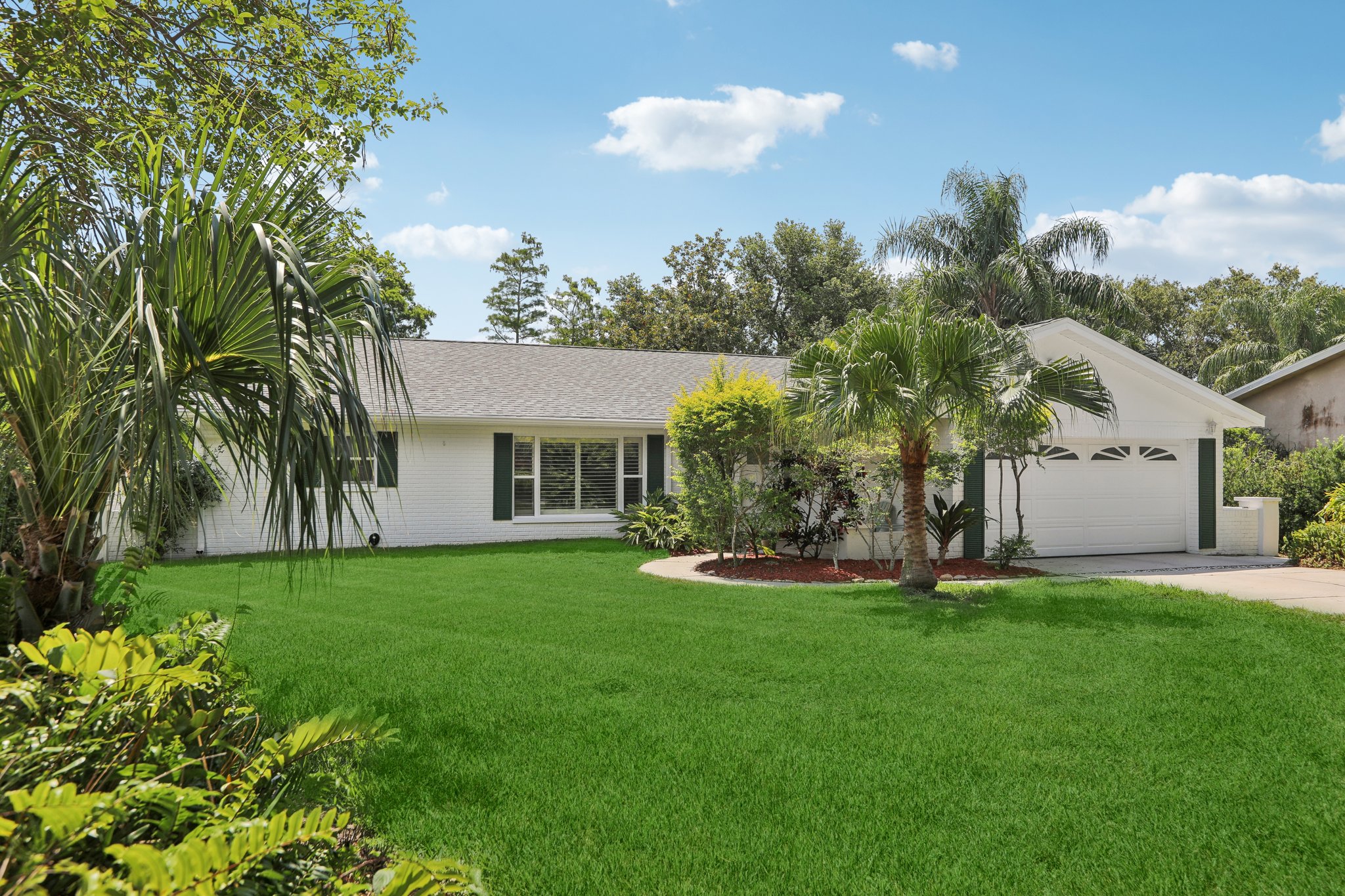 Flamingo Cir-2005-002.jpg