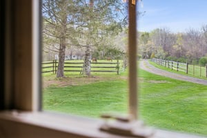 View from dining area