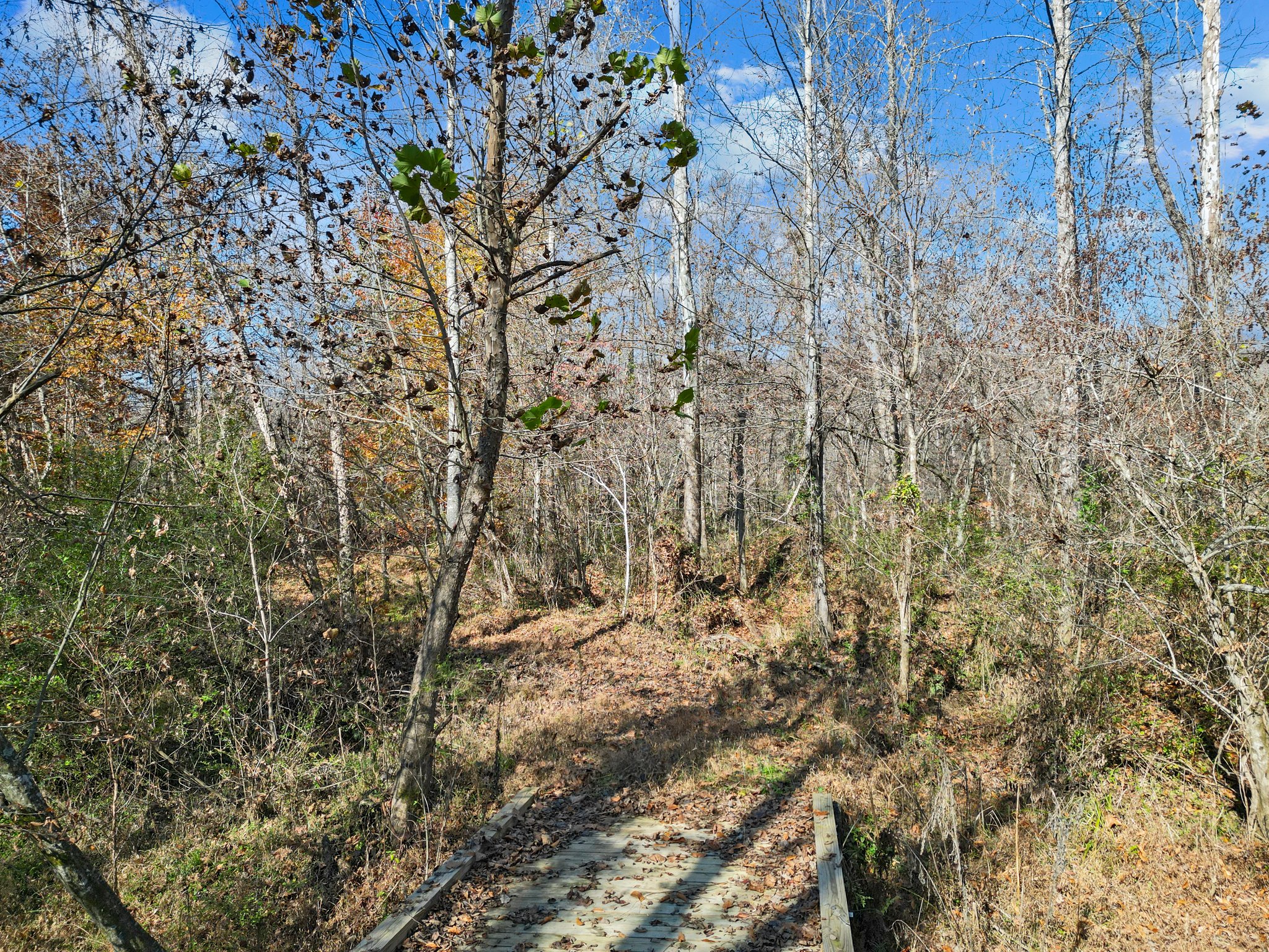 71 River Vlg Dr, Marion, NC 28752, USA Photo 99