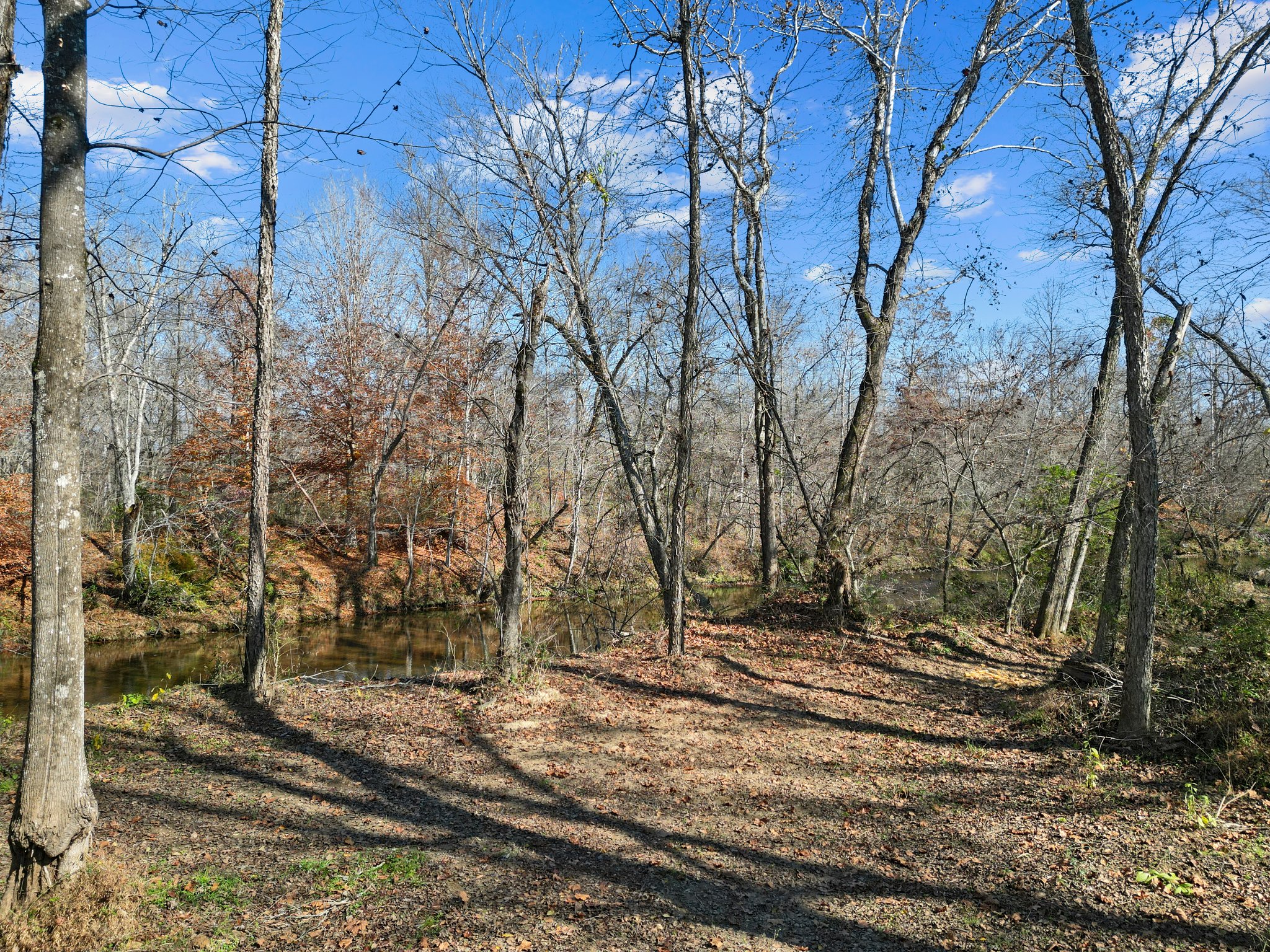 71 River Vlg Dr, Marion, NC 28752, USA Photo 92