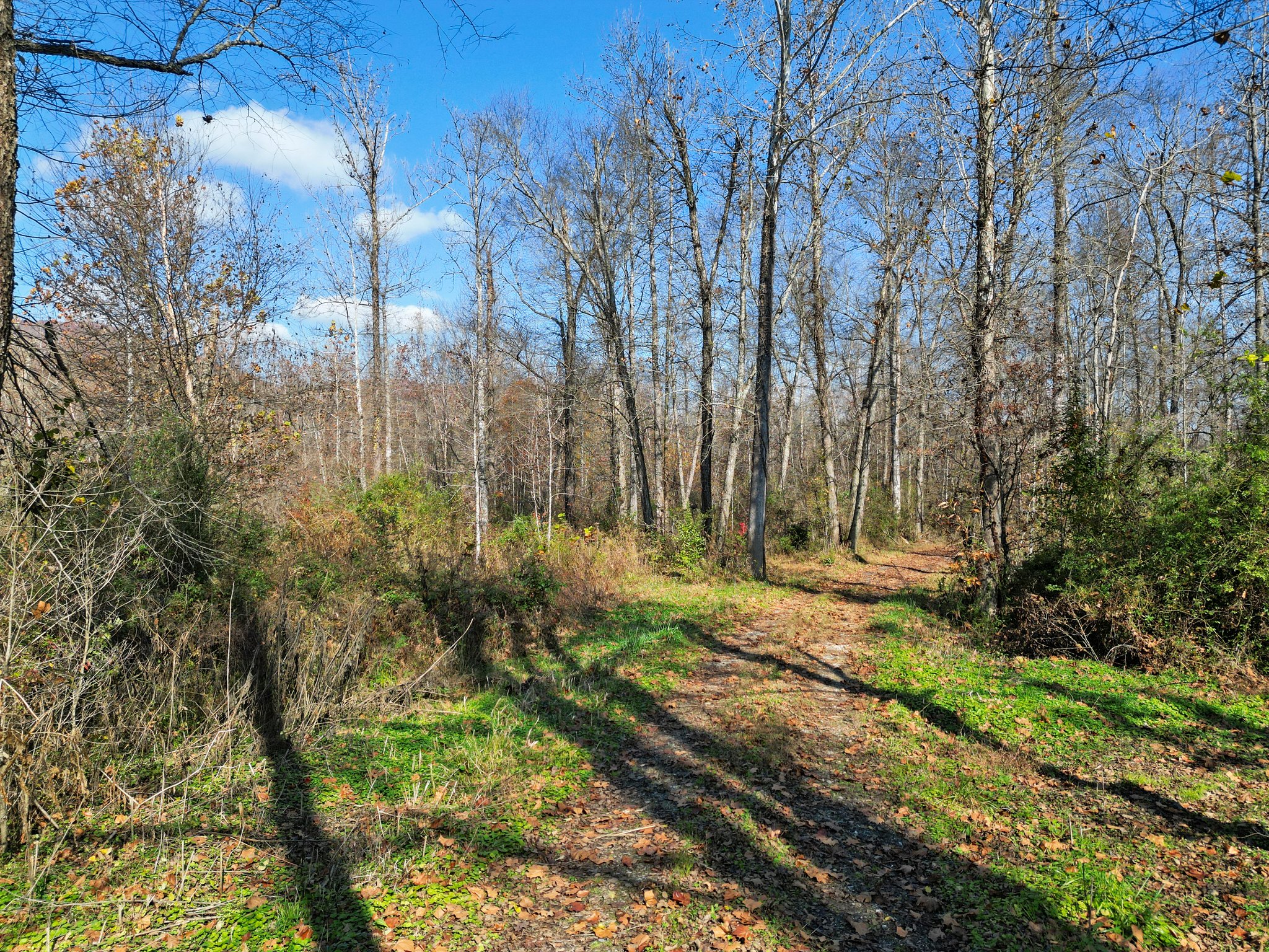 71 River Vlg Dr, Marion, NC 28752, USA Photo 89