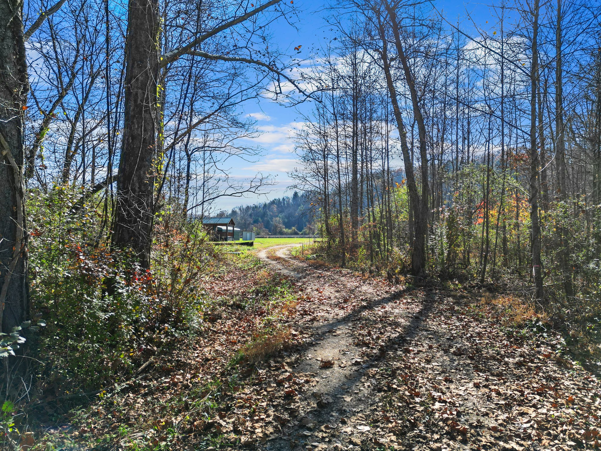 71 River Vlg Dr, Marion, NC 28752, USA Photo 88