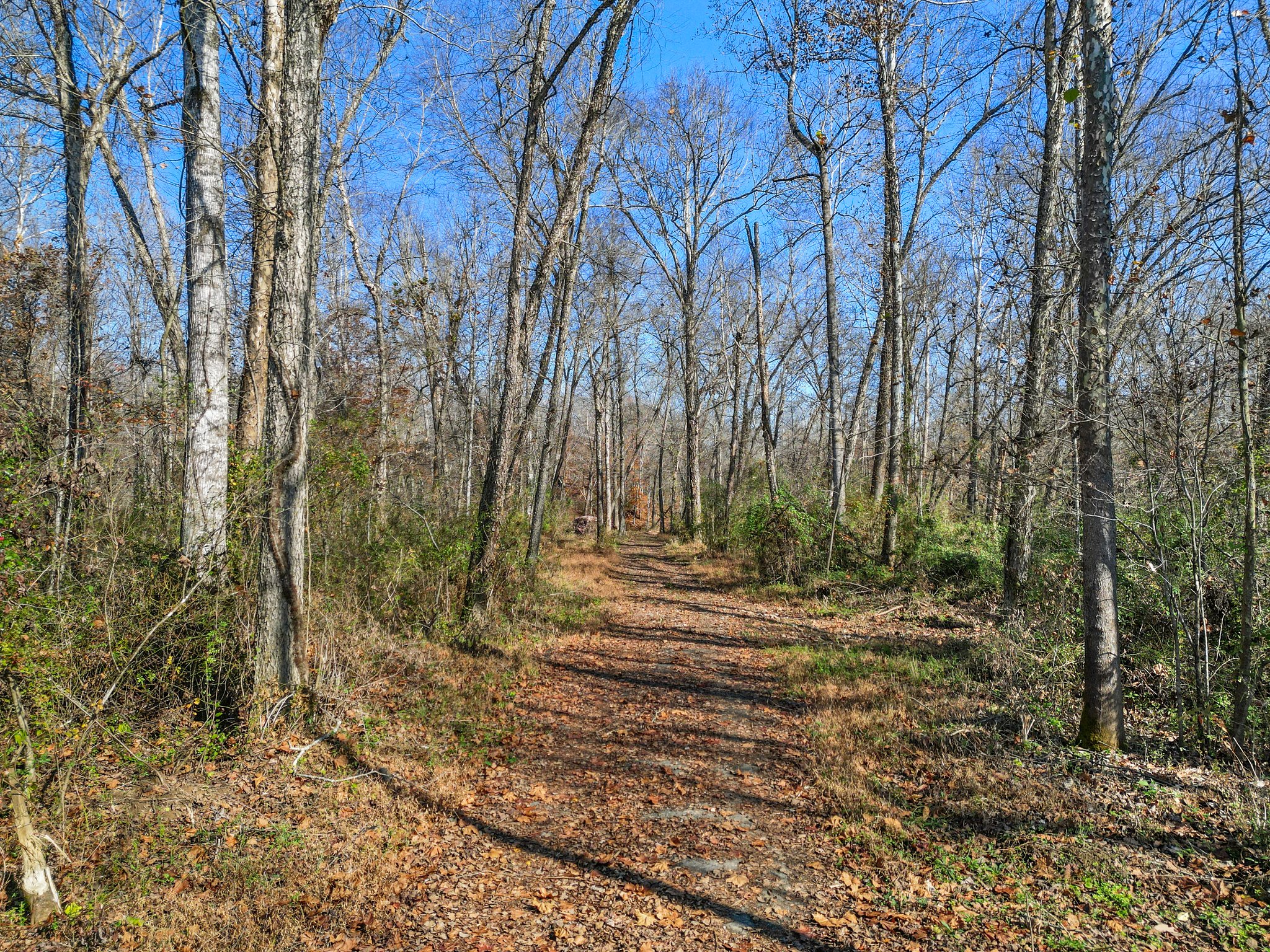 71 River Vlg Dr, Marion, NC 28752, USA Photo 87