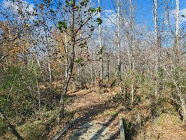 71 River Vlg Dr, Marion, NC 28752, USA Photo 98