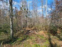 71 River Vlg Dr, Marion, NC 28752, USA Photo 89