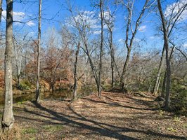 71 River Vlg Dr, Marion, NC 28752, USA Photo 91