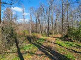 71 River Vlg Dr, Marion, NC 28752, USA Photo 88