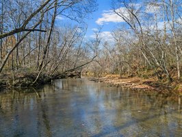 71 River Vlg Dr, Marion, NC 28752, USA Photo 93
