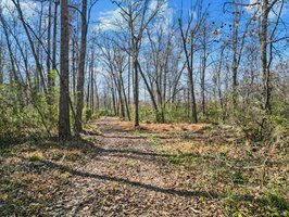 71 River Vlg Dr, Marion, NC 28752, USA Photo 97