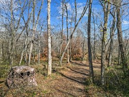 71 River Vlg Dr, Marion, NC 28752, USA Photo 90
