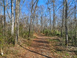 71 River Vlg Dr, Marion, NC 28752, USA Photo 86