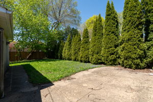  Photo 37