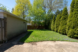  Photo 38
